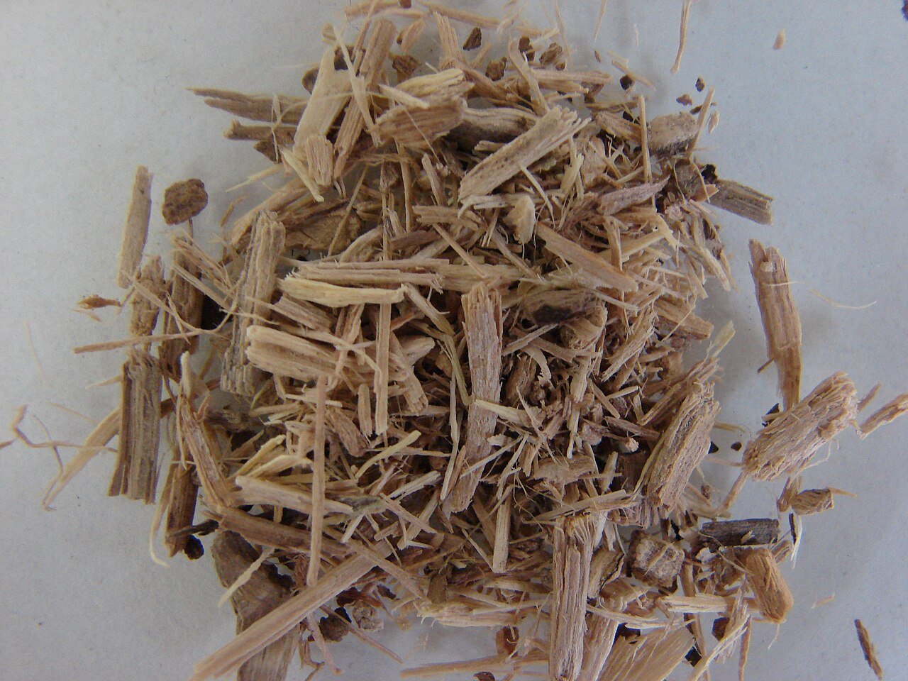 Cut Eleutherococcus senticosus root material, identified by the source as Eleutherococci radix, shown as a botanical reference rather than supplied extract.