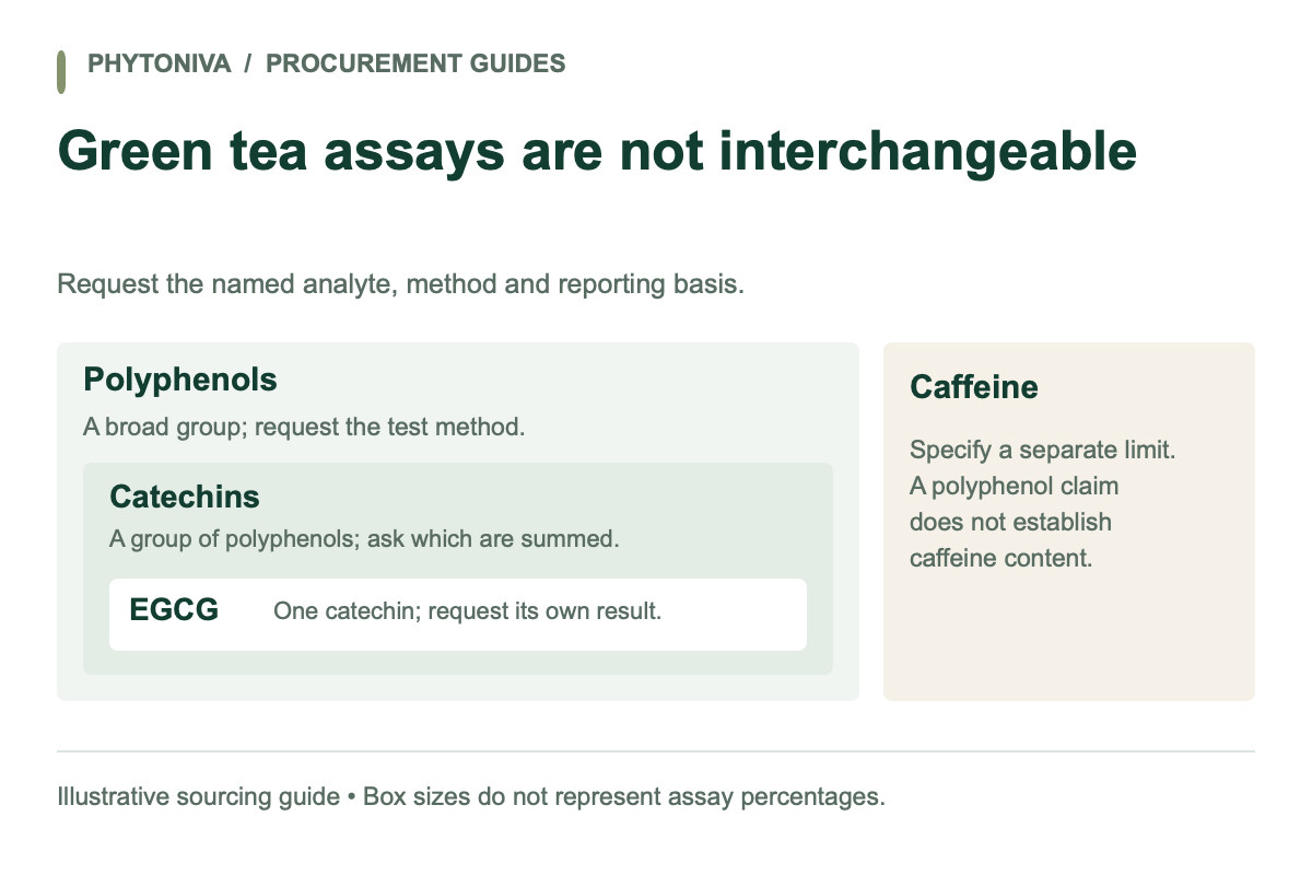Conceptual green tea assay diagram: EGCG is one catechin within the broader polyphenol group; caffeine needs a separate specification.