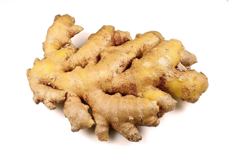 Fresh ginger rhizome (Zingiber officinale) on a white background; botanical reference, not the offered extract.